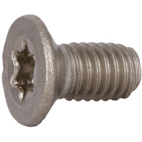 Reidl DIN 965 Senkschrauben M 10 x 60, Torx, A2 blank