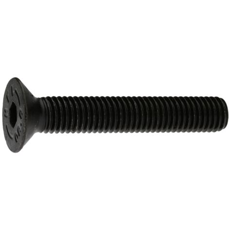 Reidl ISO 10642 Senkschraube mit Innensechskant, M 24 x 80, 8.8 blank