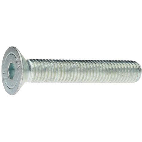 Reidl ISO 10642 Senkschrauben, Innensechskant M 10 x 110, 8.8 verzinkt