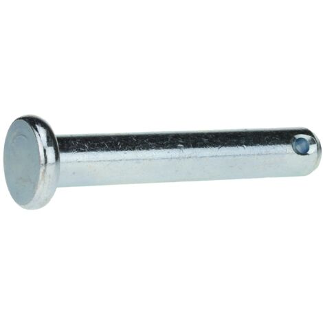 Reidl ISO 2341 Bolzen mit Kopf, 12x45 Stahl galvanisch verzinkt farblos, Form B