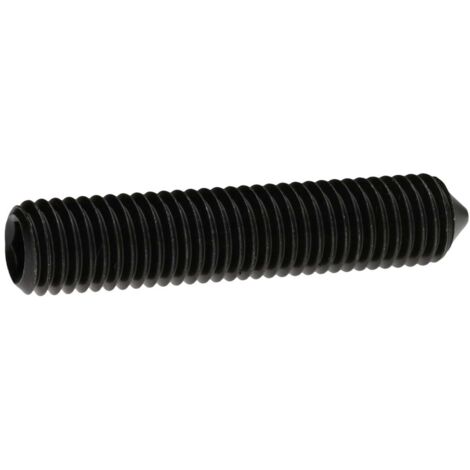 Reidl ISO 4027 Gewindestifte M24x80, mit Innensechskant/Spitze, 45 H blank