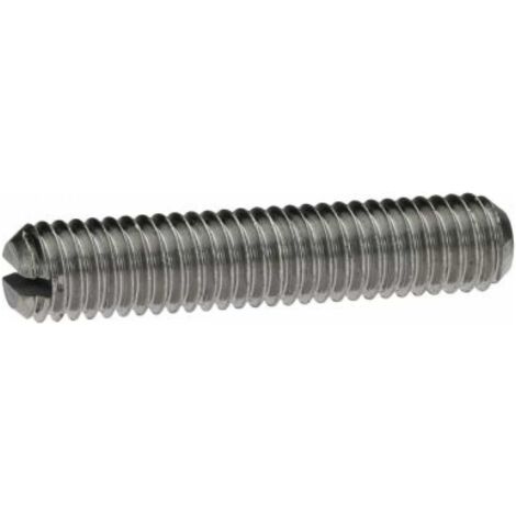 Reidl ISO 4766 Gewindestifte M10x30, mit Schlitz/Kegelkuppe, 1.4305 blank