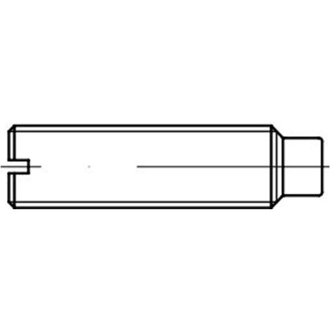 Reidl ISO 7435 Gewindestifte M12x40, mit Zapfen, 14H blank
