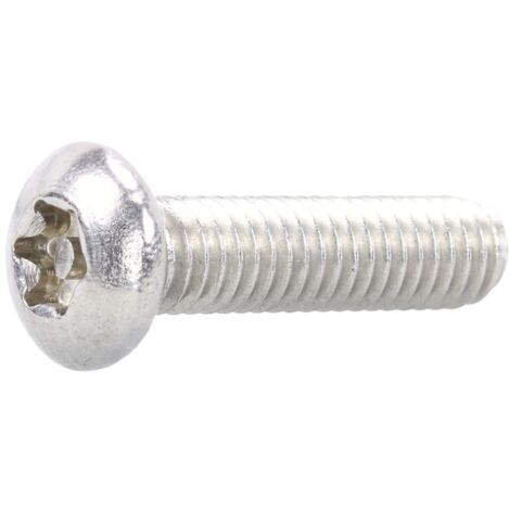 Reidl Sicherheitsschrauben, Halbrundkopf (PIN-Torx) M 10 x 60, A2 blank