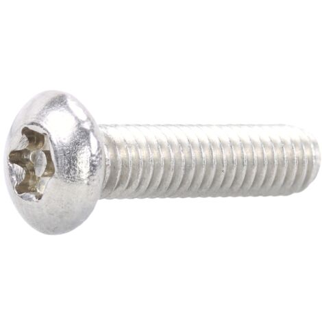 Reidl Sicherheitsschrauben, Halbrundkopf (PIN-Torx) M 8 x 80, A2 blank