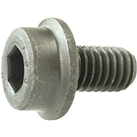 Reidl Zylinderschraube mit Innensechskant und Flansch 12x40mm verzinkt