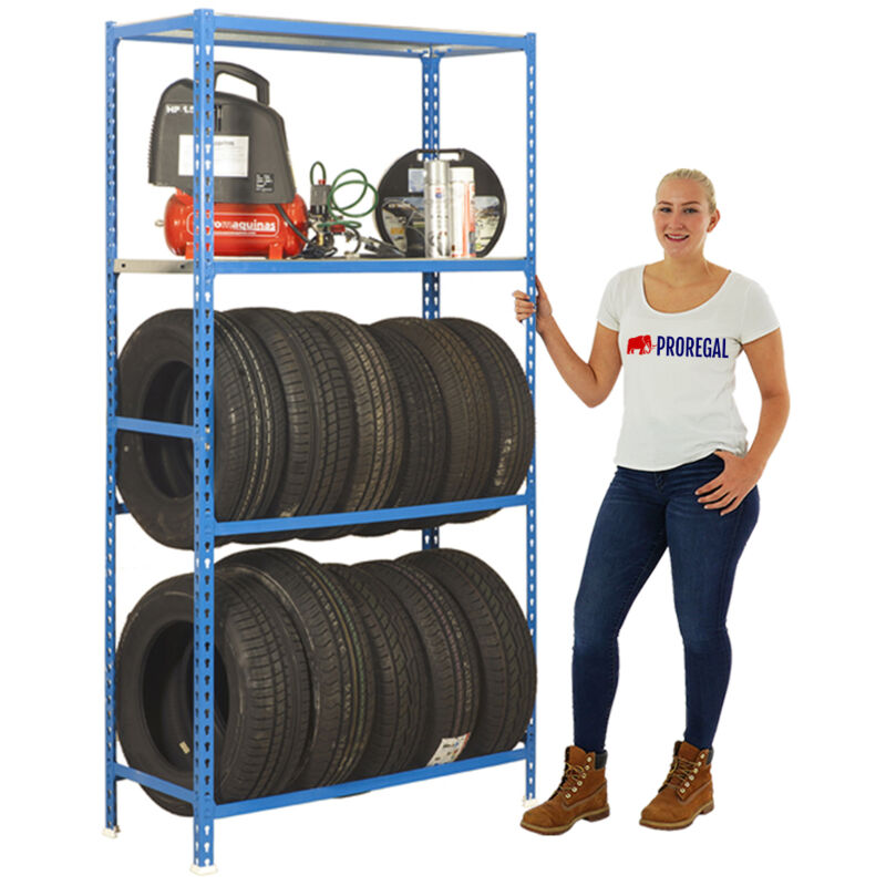 Range-pneus avec espace de rangement metal shark NO.2 HxLxP 200x100x40cm 12 pneus Bleu