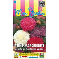 Graines De Rudbeckia Pourpre Vivace - 1 G, Fleurs Rustiques, Par Les Graines Bocquet - 9