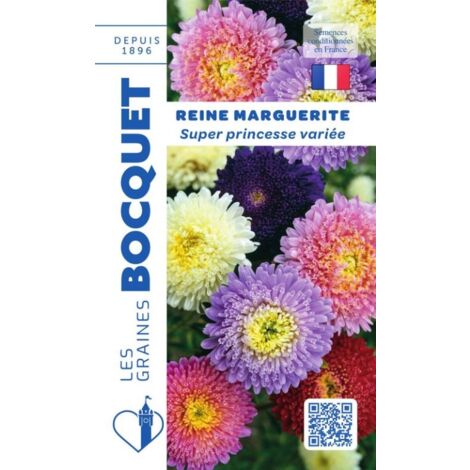 Reine Marguerite Superprincesse variée - 0,8g
