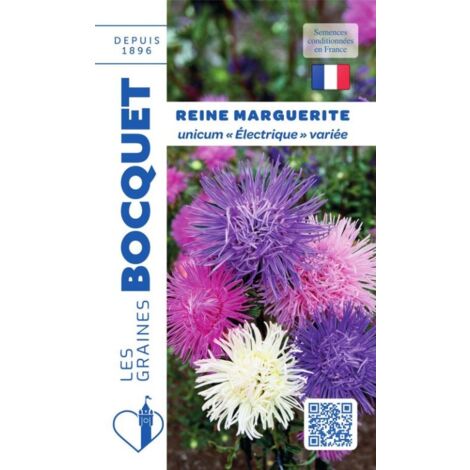 Reine Marguerite Unicum - Electrique variée - 0,8g