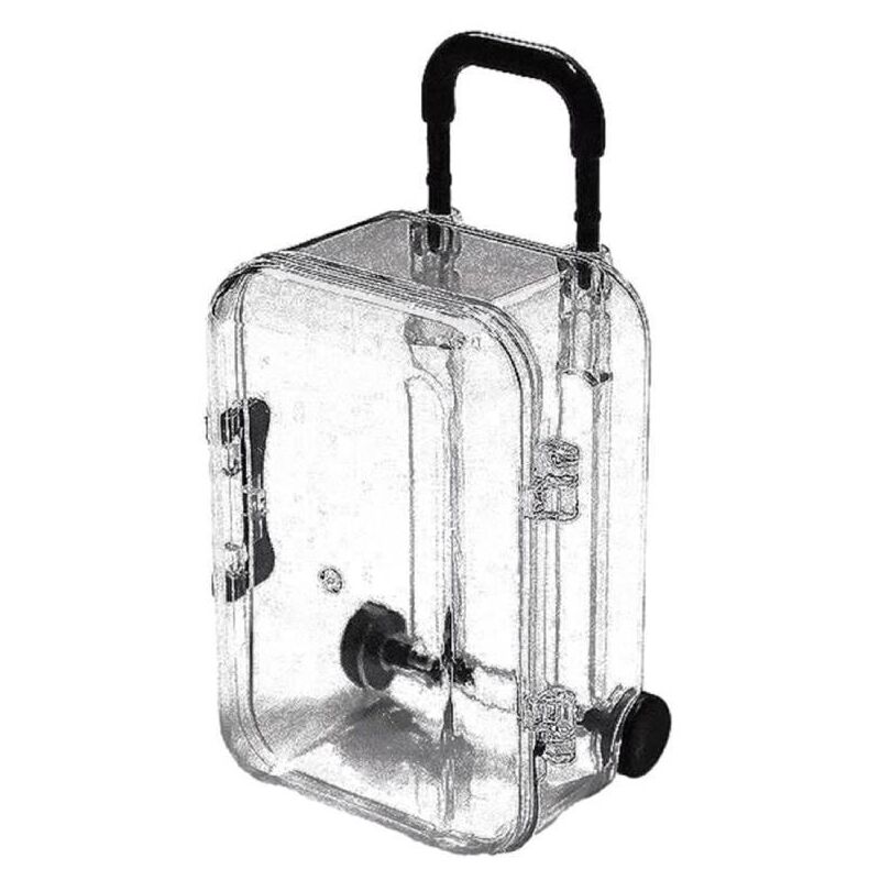 Image of Reiseboxen Transparenter Rollgepäck-Organizer Modernes Design für Ringe, Anhänger und mehr