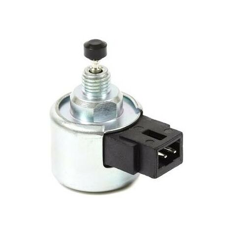 Relais carburateur Nikki moteur Briggs et Stratton - 596038