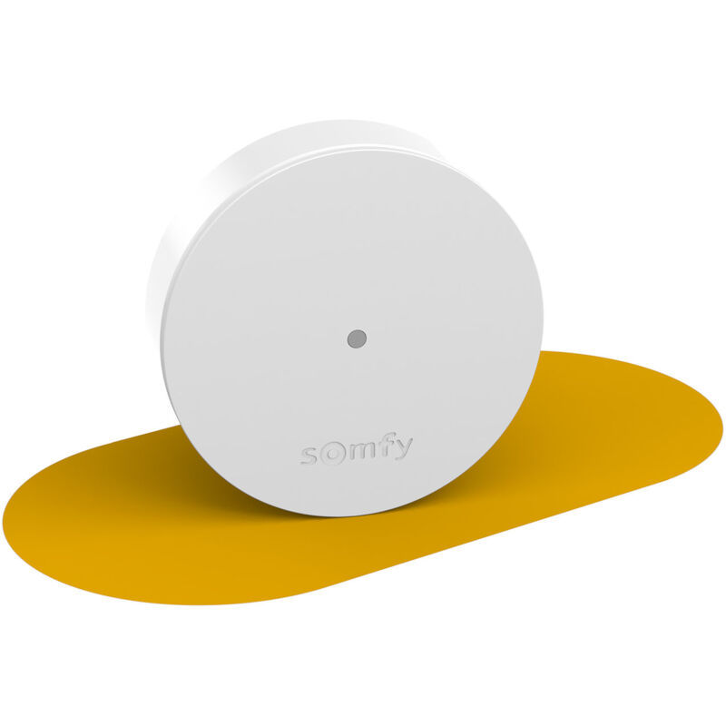2401495 - Relais radio - Améliore la portée radio - Compatible Home Alarm (Advanced) et One (+) - Somfy