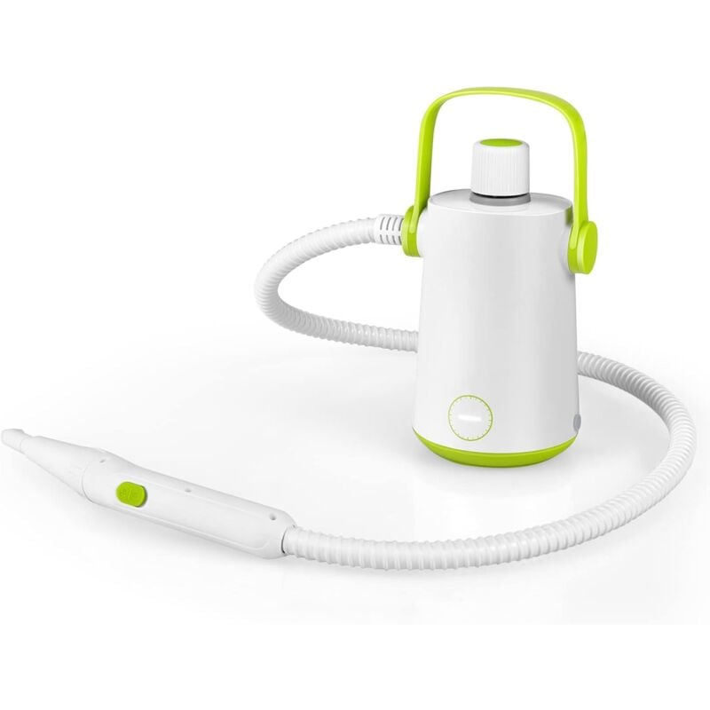 Relax4life - Nettoyeur Vapeur à Main 1000W avec Réservoir d'eau 300 ml et 10 Accessoires, Balai Vapeur pour Tapis/Fenêtres/Verre, Blanc et Vert