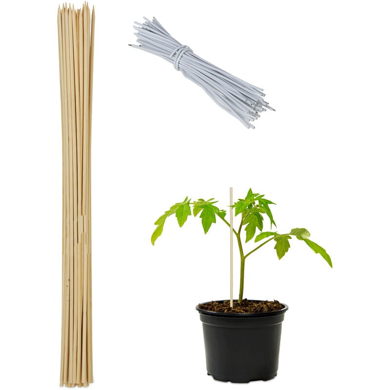 Relaxdays - Tuteur à tomates en bambou, en lot de 50, fil de fer pour chaque, plantes, h x l : env. 60 x 0,6 cm, nature