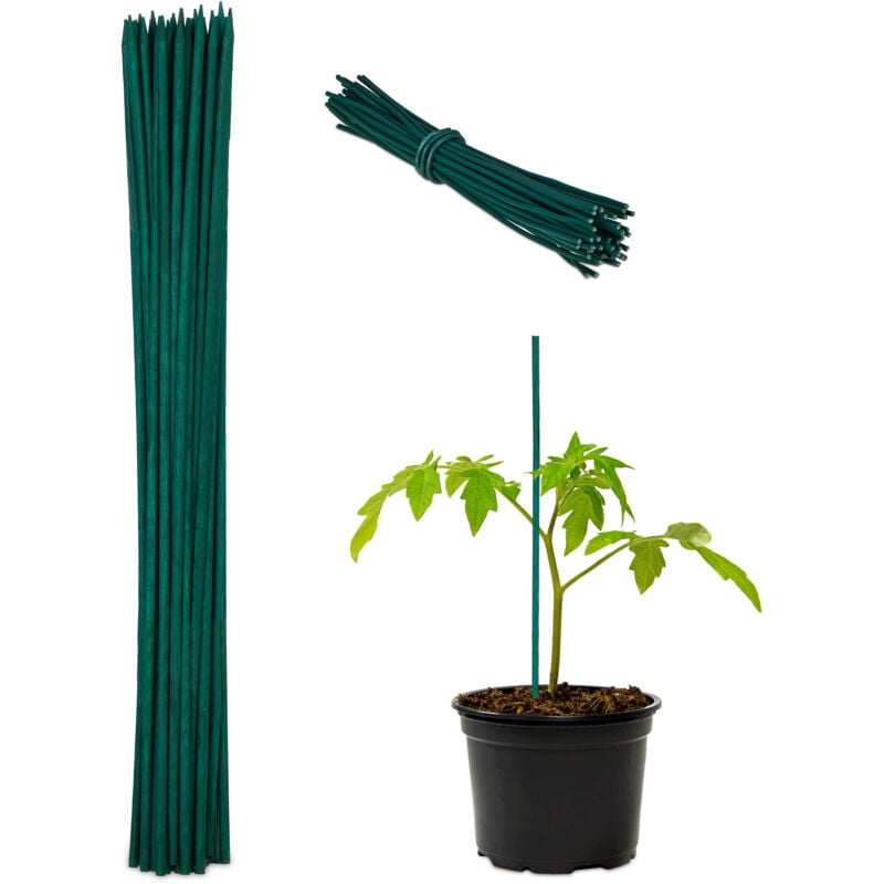 Relaxdays - Tuteur à tomates avec fil de fer, lot de 100, pour jeunes plantes, en bambou, h x d : env. 30 x 0,5 cm, vert