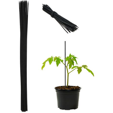 Canne di Bamboo riutilizzabili per sostegno ortaggi pomodori antimuffa