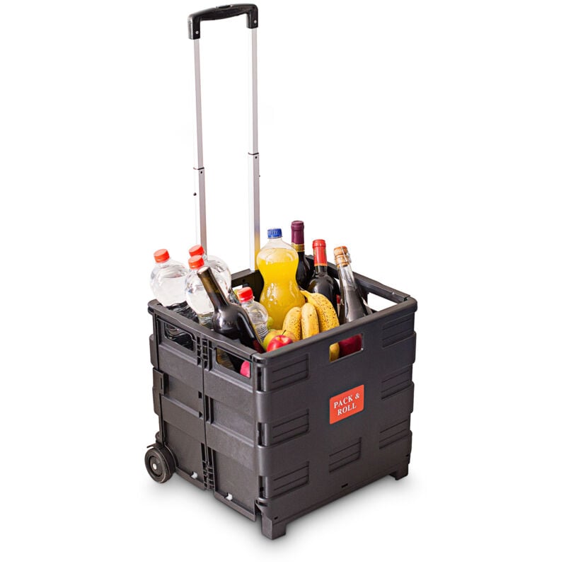Chariot de courses, lot de 2, caisse pliable, charge maximale 35 kg, h x l x p : env. 100 x 42 x 37, noir