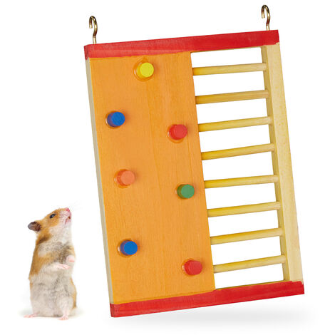   Échelle hamster, mur d'escalade, bois non toxique, HxL: 19 x 14 cm, à accrocher, accessoire cage, coloré