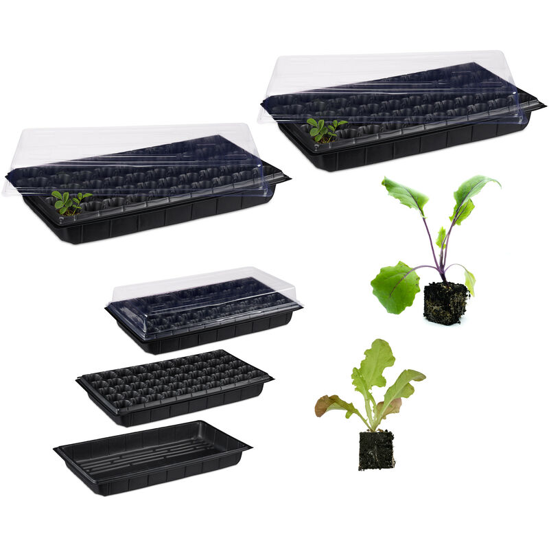 Mini serre, lot de 2, pour l'intérieur, 50 plantes, couvercle, semis, terrasse, balcon, plastique, 55,5 x 29 cm, noir