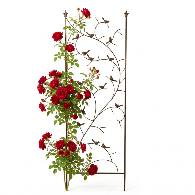 Relaxdays Rankgitter, Hxb, 150x50 Cm, Metall, Vogel-design, Rankhilfe Für Kletterpflanzen, Garten, Rosenrankhilfe, Braun