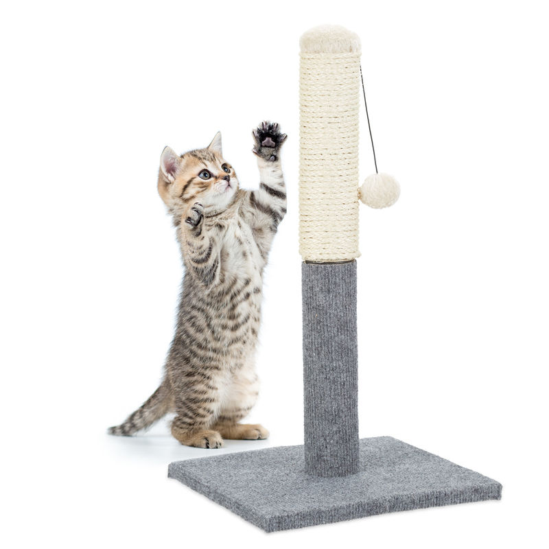 Scratching Post, Scratcher Column for Cats, Freestanding, With Sisal Post & Ball, Indoor, h: 54 cm, Grey - Relaxdays