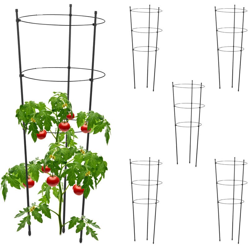 Relaxdays Tuteur pour tomates, plantes grimpantes, lot de 6, métal & plastique, 3 anneaux réglables, hauteur 76 cm, noir
