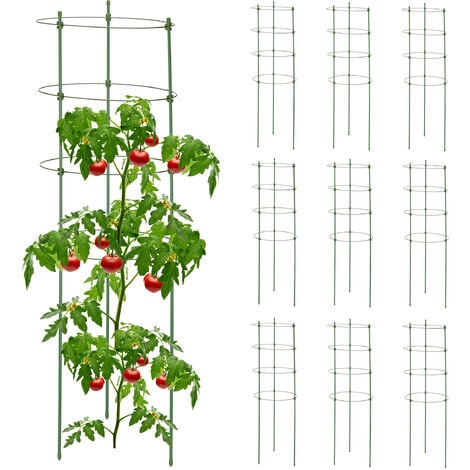 Sostegno per Piante Rampicanti in Vaso, Supporto per Piante in Metallo Nero  Stabile Gabbie Pomodori, per Interno Esterno Garden Balcone Terrazza :  : Giardino e giardinaggio