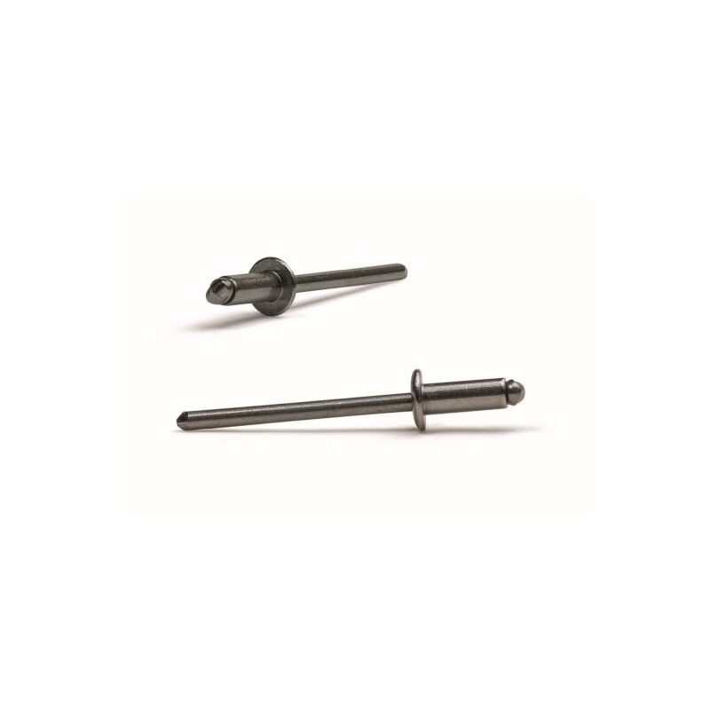 

Bralo - Remache Inox C/a 250 Uds 4,8x16 Mm