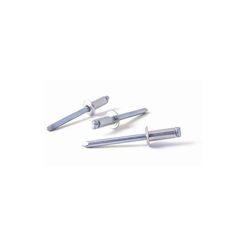 

Remache Fijacion 4,8X12Mm Cabeza Alomada Acero Cincado Bralo 250 Pz