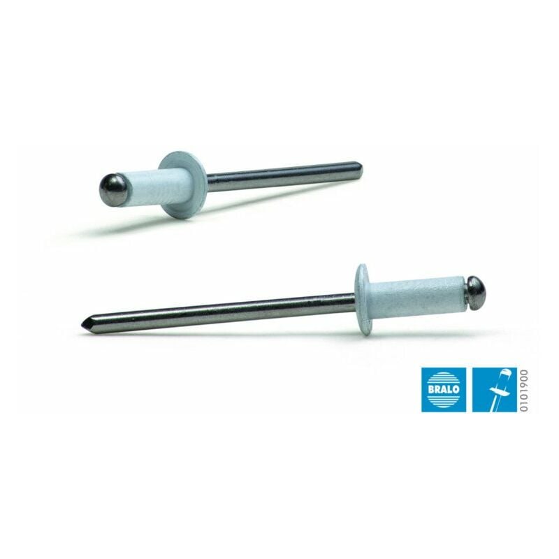 

Bralo - REMACHE ALUMINIO ESTANDAR 4.0X12 MM BLANCO C/50