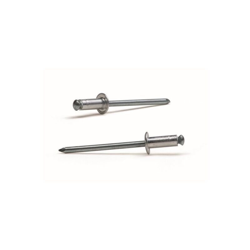 

Bralo - Remache Flor Al C/a 200 Uds 4,8x24 Mm