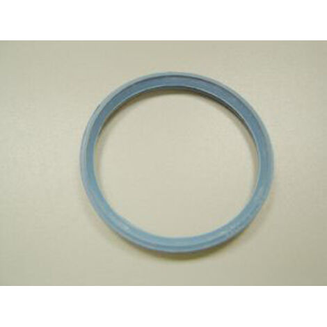 Remeha Dichtelement DN80, blau
