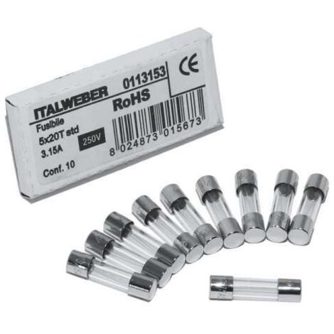 Remeha Feinsicherung 3,15AT 10 Stück S43562