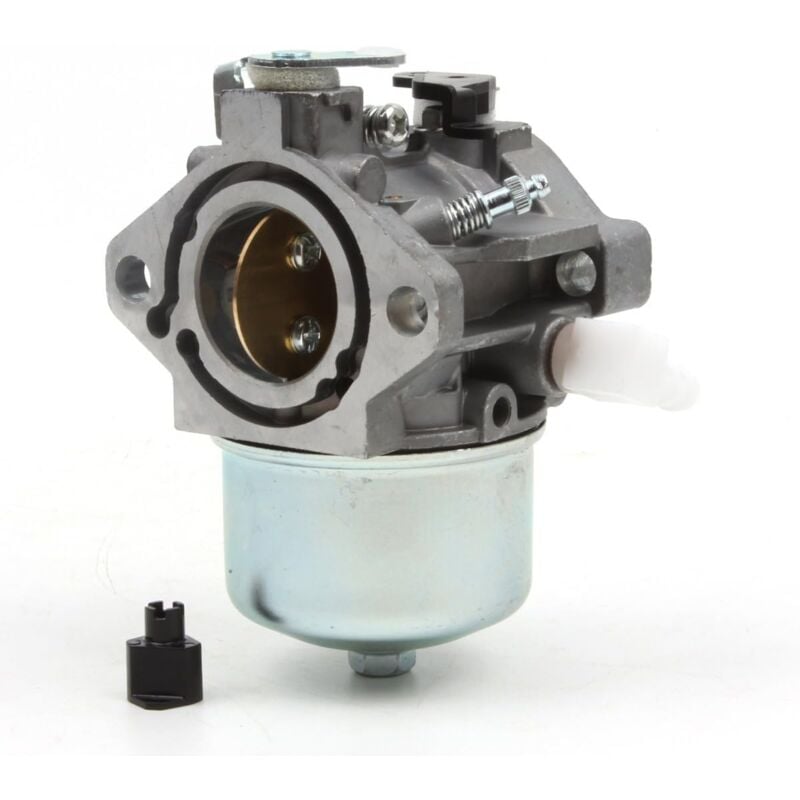 Gotrays - Remplacement du carburateur pour les moteurs 699831 694941 pour tondeuses à gazon 283702