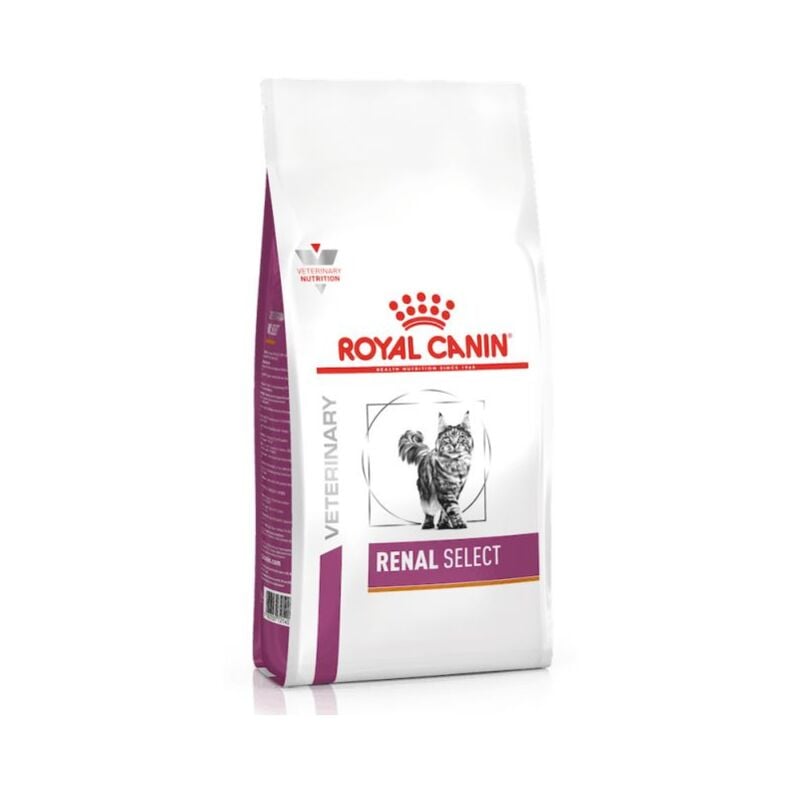 Gatto Veterinary Renal Select 4 kg - Royal Canin