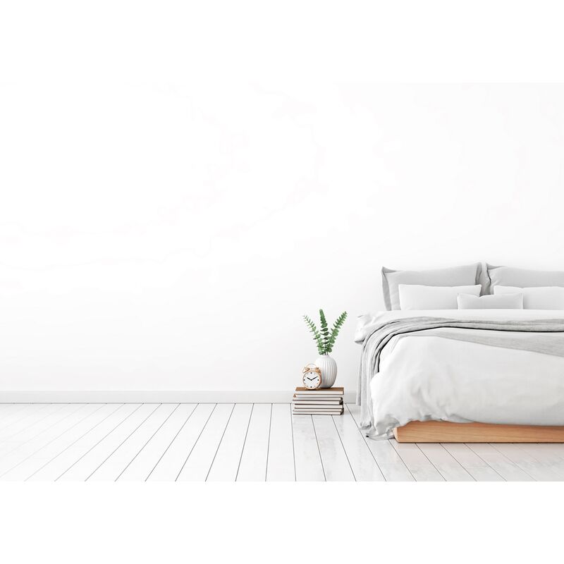 

Mural RENAULAC Mega Matt White - 2.5L - RAL 9010