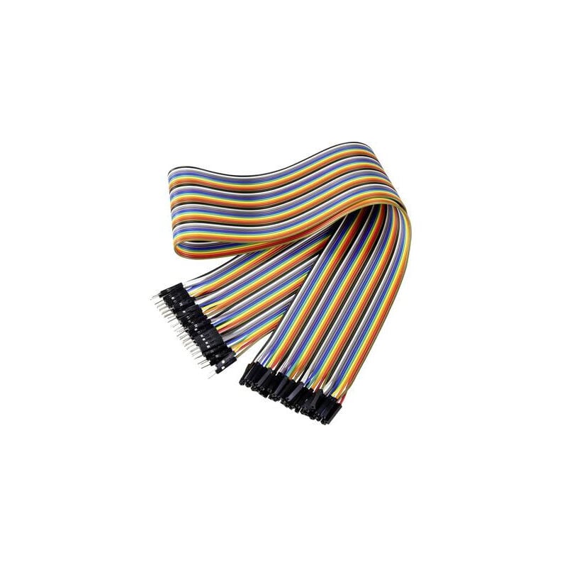 Renkforce - JKMF406 câble de cavalier arduino, banana pi, raspberry pi [40X pontage filaire de prise mâle - 40X pontage filaire de