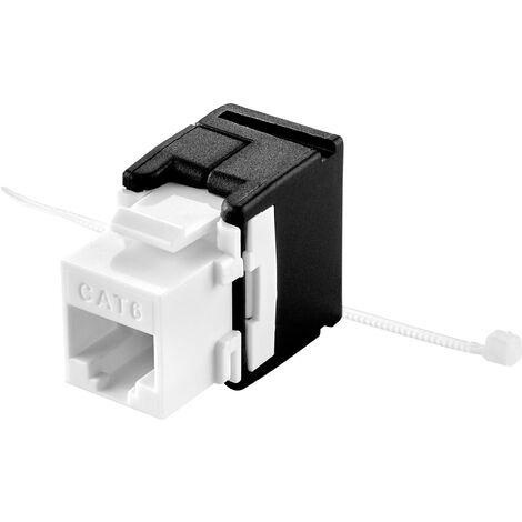 Renkforce Module RJ45 encastrable Keystone CAT 6 1 pc(s) A809592