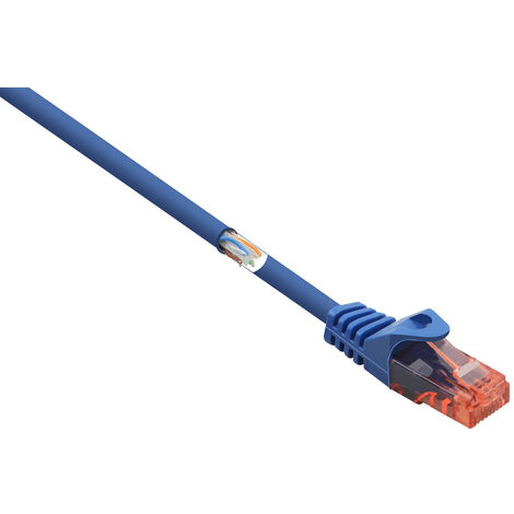 Renkforce RF-5043876 RJ45 Netzwerkkabel, Patchkabel CAT 6 U/UTP 1.00 m Blau mit Rastnasenschutz, Hal