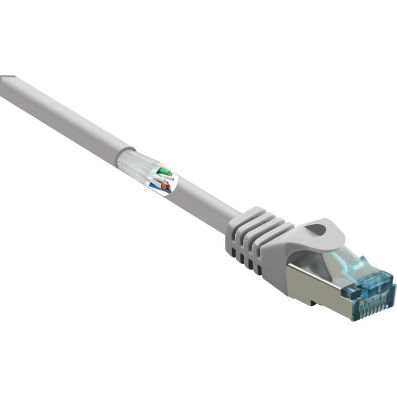 Renkforce - RF-5191008 RJ45 Câble réseau, câble patch cat 6a s/ftp 30.00 m gris ignifuge, avec cliquet d'encastrement 1 p