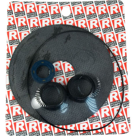 REP KIT JUNTAS ROVER Ø 20 mm 300 035