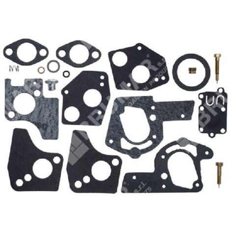 Reparatursatz für BRIGGS & STRATTON Vergaser 494624 - 495606 - 006640