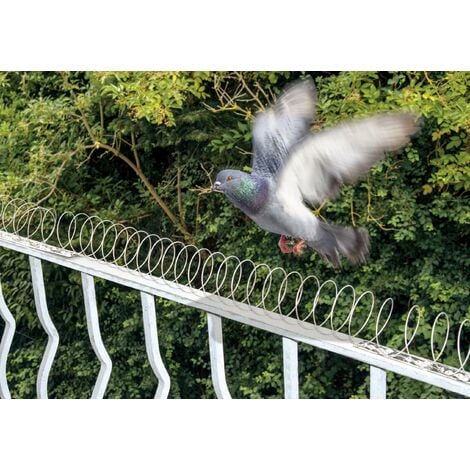 Barrière anti-pigeons inoffensive 3m de long en plastique recyclé, vente au  meilleur prix