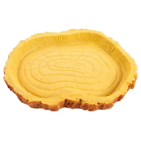 Reptile Tortue Eau Plat Bol à Nourriture Piscine pour Tortue Reptiles Gecko Serpents Goutte Livraison
