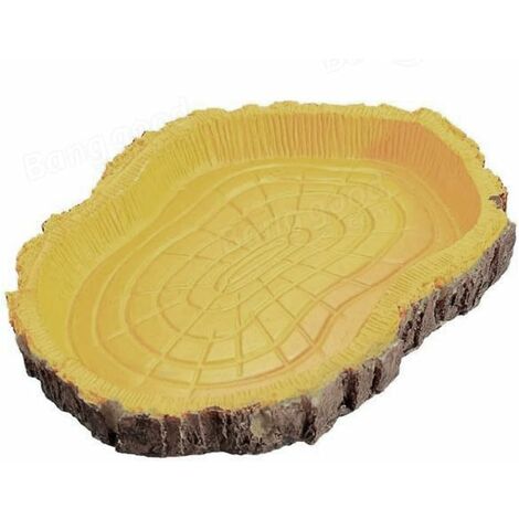 Reptile Tortue Eau Plat Bol à Nourriture Piscine pour Tortue Reptiles Gecko Serpents Goutte Livraison
