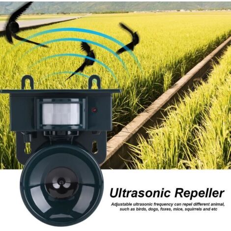 Répulsif oiseaux énergie solaire nuisible pour le jardin ultrasons nuisibles parasite Capteur mouvement ultrasonique jardinage - CWU