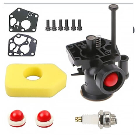 Réservoir de carburant 498809 et kit de carburateur 795469 pour moteurs Briggs & Stratton séries 9J900 9L900 9S500 9B900 9C900 9D900 9E900. Remplace les références 494406, 795477, 794147, 699660, 7941