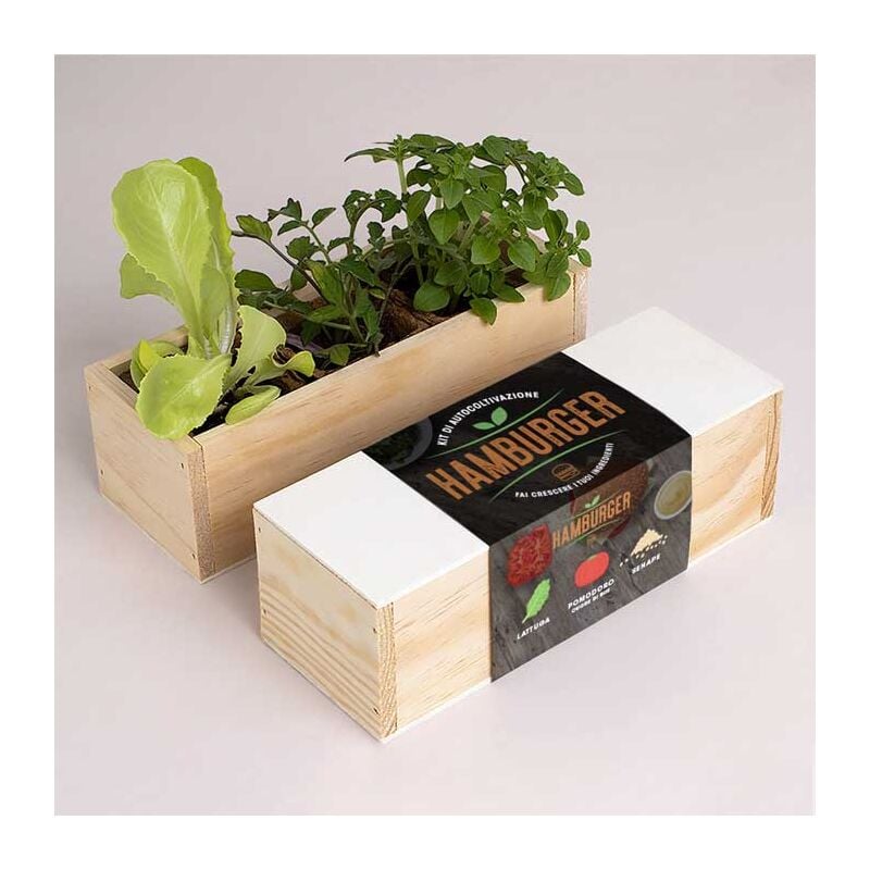 Kit autocoltivazione hamburger, casa, idee regalo, cucina - Resetea