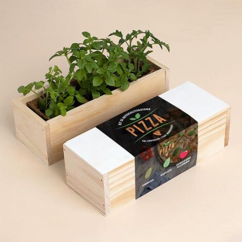 RESETEA, KIT AUTOCOLTIVAZIONE PIZZA, CASA, IDEE REGALO, CUCINA